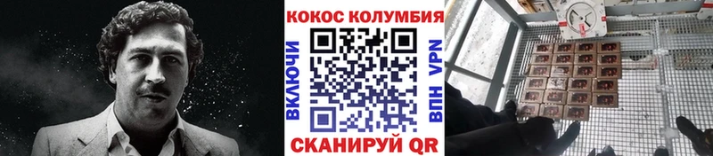 сколько стоит  Шумерля  COCAIN Боливия 