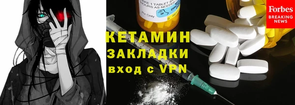 шишки Губаха