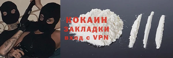 ешки Алексин